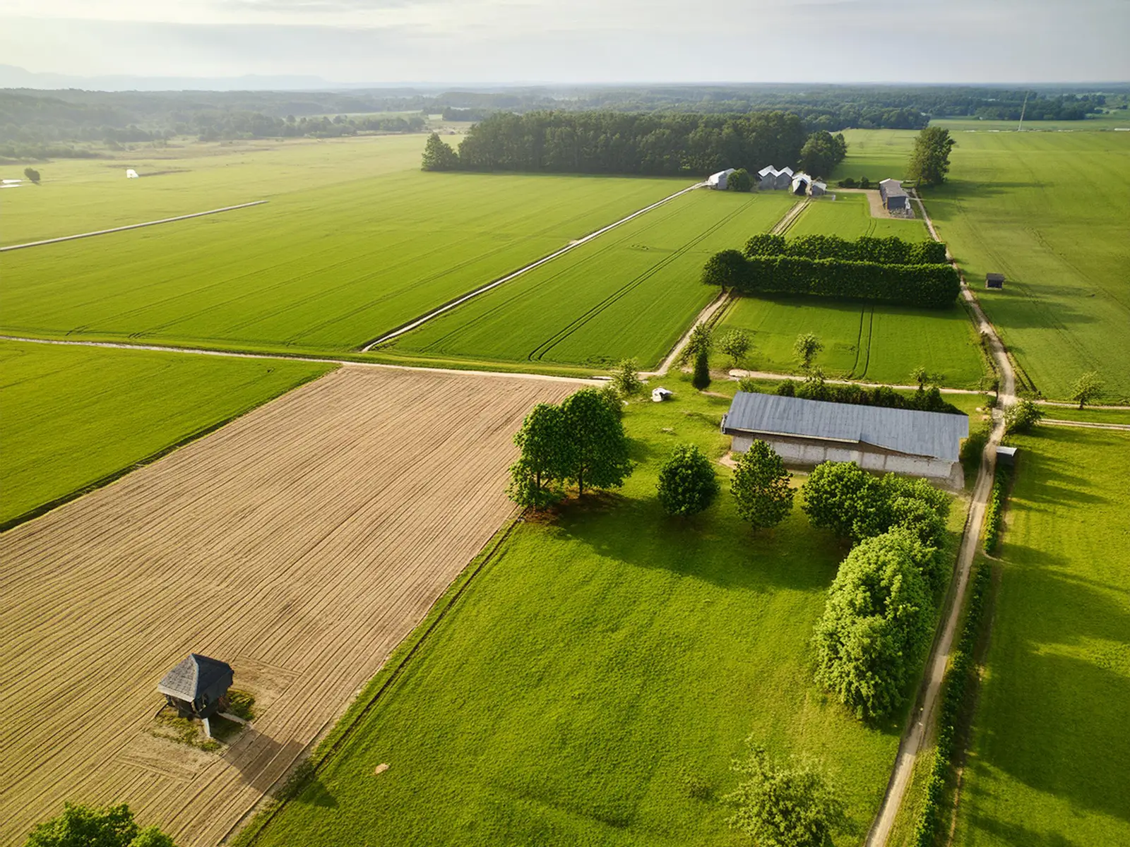 farm